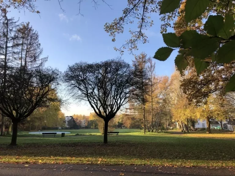 7C4D8F7B-3865-4792-9734-0DE4807DA57F_1_105_c